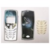 8310delfinholo.jpg